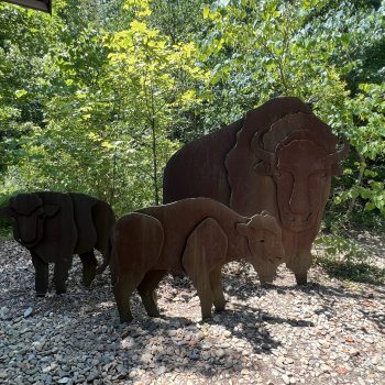 Cumberland Gap - Daniel Boone Welcome Center V3